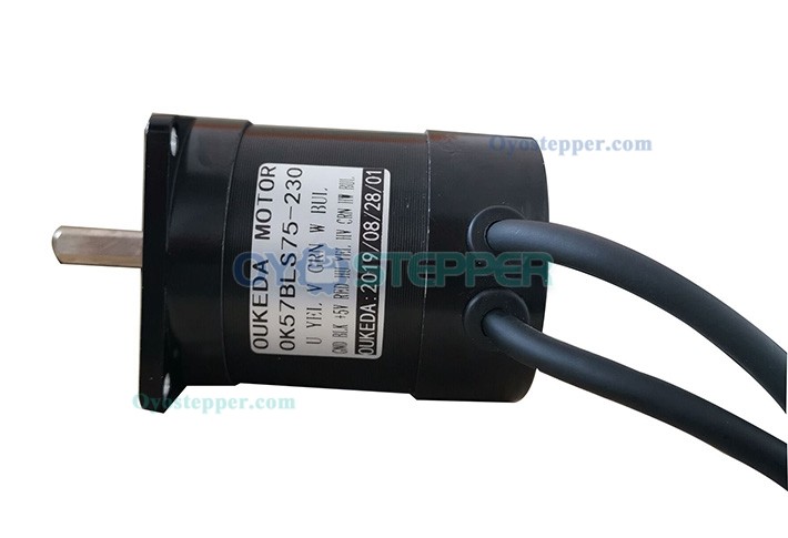 Oukeda Brushless DC Motor 2 Phase 22Ncm 24V 3000RPM Φ57mm BLDC Motor